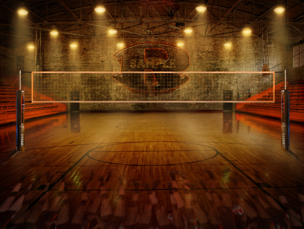 SturDaVinci Art Tools Dynamic Sports Art Backgrounds Volleyball Poster