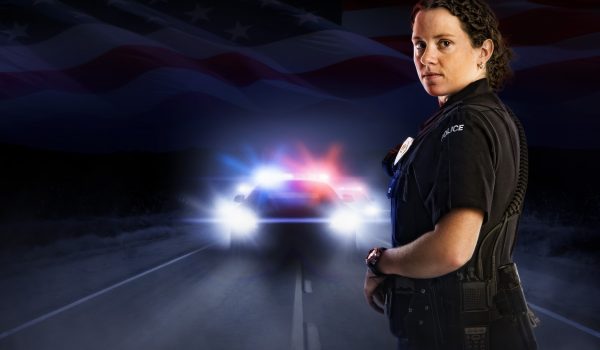 American Law Background