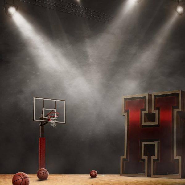 Basketball Idol 2018_ 24×30