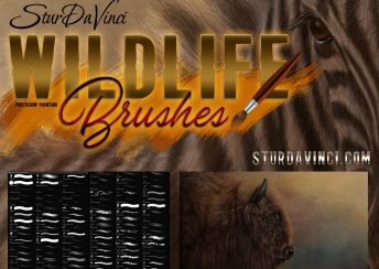 SturDaVinci Wildlife Photoshop Brushes